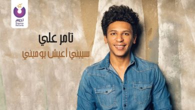 كلمات اغنية سيبني اعيش يوميني تامر علي