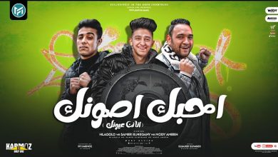 كلمات مهرجان انا احبك اصونك انا نن عيونك