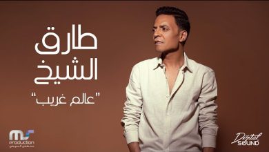 كلمات اغنية عالم غريب طارق الشيخ